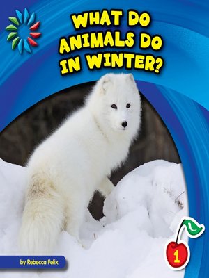 What Do Animals Do in Winter? - ebook